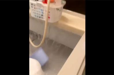 GIAPPONE - Terremoto al largo di Fukushima di magnitudo 7.1 VIDEO