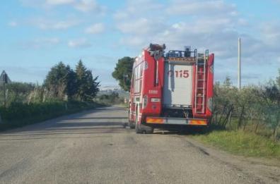 Pisticci, perde controllo motozappa: 78enne muore schiacciato contro albero 