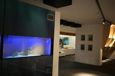 L'opera filmica e fotografica di Paolo Gioli in mostra a Lecce, Bisceglie e in Cina