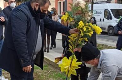 8 marzo a Taranto, piantata mimosa come simbolo rinascita e rispetto