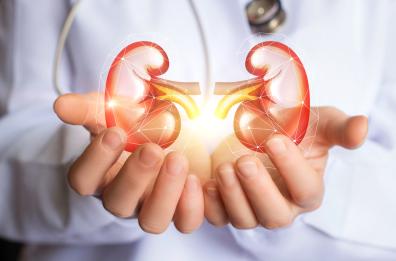 Giornata mondiale del rene: controlli periodici per prevenire il tumore