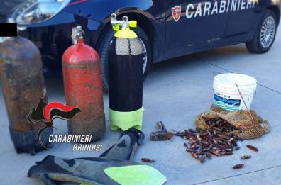 Brindisi, colti in flagrante con 7kg di datteri di mare: arrestati