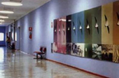Caos InnovaPuglia, c'è l'ipotesi commissario