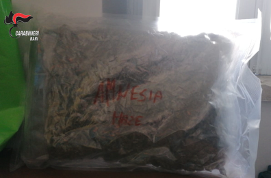 Bisceglie, a spasso con un chilo di marijuana «Amnesia» nella busta della spesa 