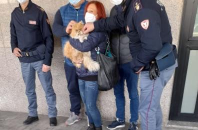 Il gatto Grisù fugge dal trasportino sul treno Lecce-Torino, il controllore lo fa scendere a Pescara: è stato ritrovato