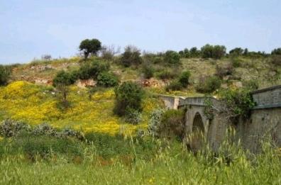 Bari, 35enne muore schiantandosi con la moto, il corpo trovato il giorno dopo