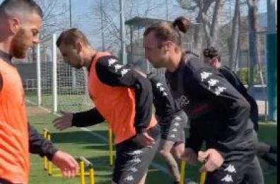 Il Bari si prepara alla trasferta contro l'Avellino: Carrera punta su Antenucci-Cianci 