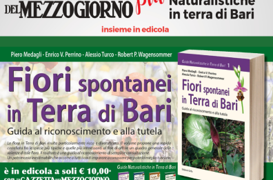Le iniziative della Gazzetta: ad aprile 4 volumi per scoprire la natura in Terra di Bari