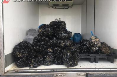 Taranto, sequestrati 8 quintali di cozze di dubbia provenienza: due denunciati 