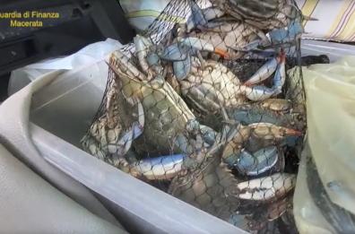 Bari, pesce scaduto per il locale di sushi: il sequestro 