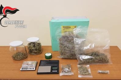 San Severo, nascondeva marijuana in casa: 28enne nei guai 