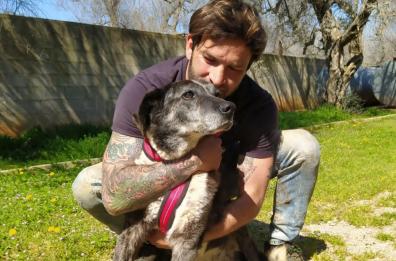Parabita, storia di Biagio: «Salvo i cani perché loro hanno salvato me»