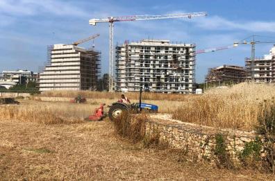 Bari, via le erbacce dall'ex Fibronit