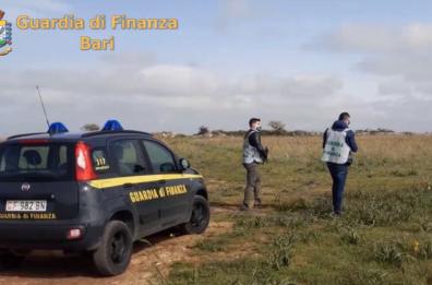 Altamura, truffa in agricoltura con la copertura del Consorzio 