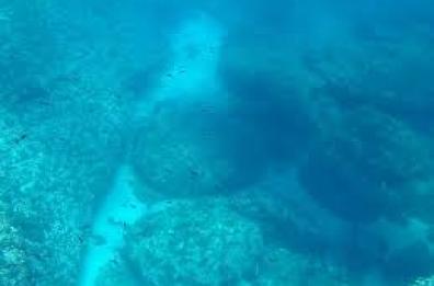 Giornata dell'Ambiente in Puglia, immersioni per liberare i fondali di Leuca dai rifiuti