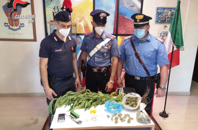 Toritto, tenta di disfarsi di una busta di marijuana gettandola dalla finestra: arrestato giovane pusher