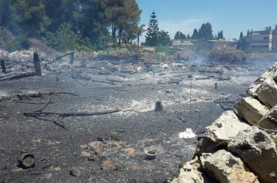 Maglie, il fuoco divora la pineta abbandonata