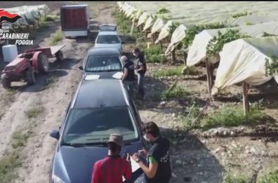 Foggia, operazione anticaporalato: 8 ore di lavoro pagate anche 4 euro