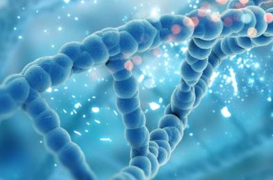 Malattie rare, al via bando dell'Asl Bari per sequenziamento esoma