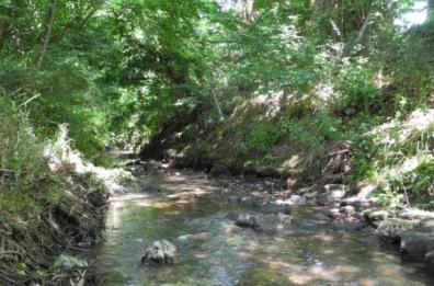 Torre Guaceto, niente più reflui in Riserva condotta sottomarina in arrivo
