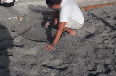 Salento, una tartaruga nidifica nello stabilimento balneare
