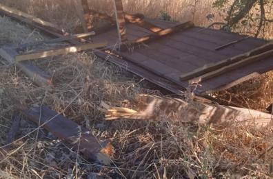 Matera, vandali scatenati nel Parco della Murgia Materana