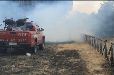 Foggia, incendio di vaste proporzioni nel Parco regionale di Bosco Incoronata