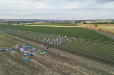 Lavello, yoga e meditazione immersi nel profumo della lavanda
