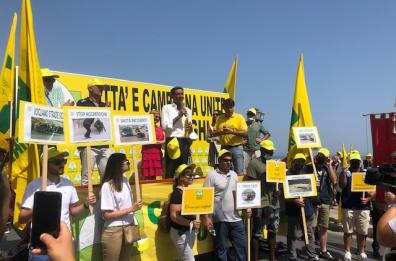 «Troppi cinghiali in Puglia»: gli agricoltori protestano davanti alla Regione