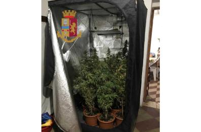 Bari, marijuana in una serra attrezzata in casa, arrestato dalla polizia
