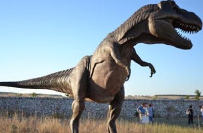 Altamura, dinosauri che passione: i tour «raddoppiano»