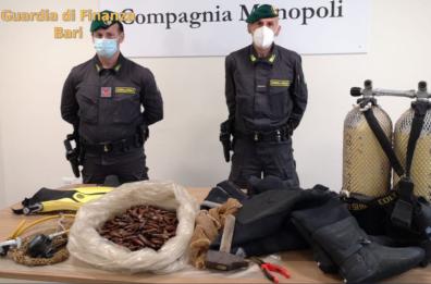 Bari,  i finanzieri di Monopoli sequestrano  sette chili di datteri di mare