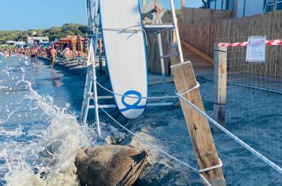 Il mare minaccia il nido di tartaruga, salvataggio in extremis a Torre dell'Orso
