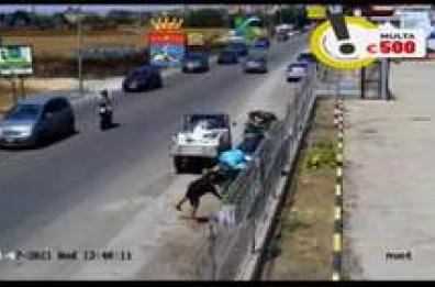 Taranto, video-trappole in azione contro gli incivili
