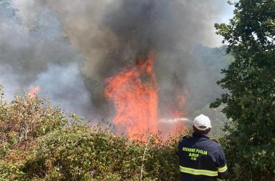 Incendio in mattinata nel Barese, in azione anche due Canadair tra Corato e Ruvo