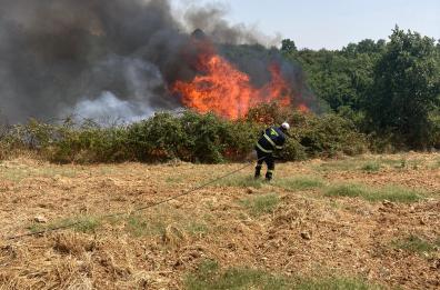 Gravina, incendio in campi Murgia barese: da 16 ore canadair in azione