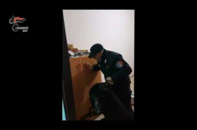 Gli ordini anche dal carcere: blitz dei cc contro clan Strisciuglio