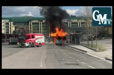 Potenza, bus in fiamme davanti la sede dell'Unibas