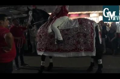 Cavallo imbizzarrito, paura alla processione di Sant'Oronzo