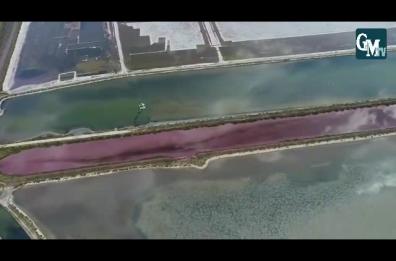 Le acque rosse vicino le saline
Sequestro choc a Margherita di Savoia