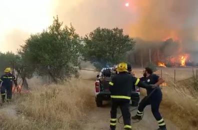 Incendio doloso a Gravina: le drammatiche immagini