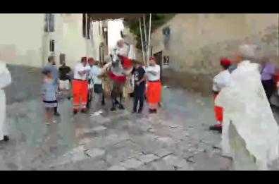 Brindisi, il vescovo cade da cavallo durante la processione