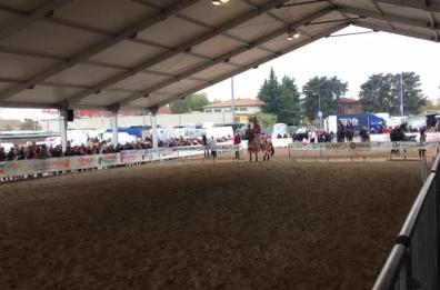 Ostuni, l’associazione «Cavalcata di S. Oronzo» protagonista alla Fiera cavalli di Verona