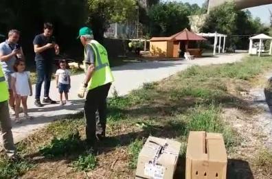 Parco del Basento, il volo della «libertà» di due falchi pellegrini