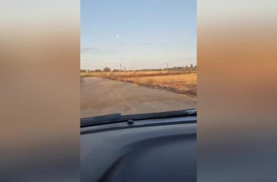 Ancora lupi in Salento: nuovo avvistamento nelle campagne di Castrignano del Capo