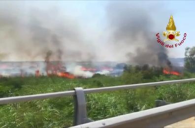 Torre Guaceto, incendio minaccia la Riserva:  distrutti 3 ettari  IL VIDEO