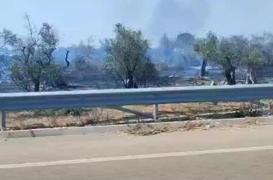 Salento in fiamme, strage di animali nel Capo di Leuca: oltre 80 bovini morti carbonizzati VIDEO