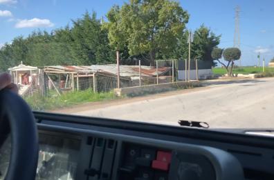 Storie a Mezzogiorno: nascosta a Noicattaro c'è una mini Grotta di Lourdes