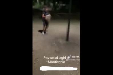 Prendono a sassate un cigno ai laghi di Monticchio e postano il video su TikTok: polemica