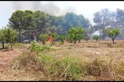 Frigole, incendio lambisce villa di una famiglia in vacanza: evacuata